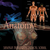 解剖生理学
